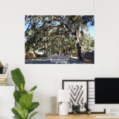Famous Magnolia Street St, Augustine ... Poster (Thuiskantoor)