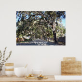 Famous Magnolia Street St, Augustine ... Poster (Keuken)