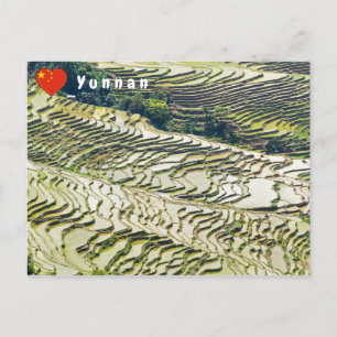 Famous yuanyang Rice Terraces - Yunnan, China Briefkaart