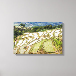 Famous yuanyang Rice Terraces - Yunnan, China Canvas Afdruk