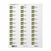 Famous yuanyang Rice Terraces - Yunnan, China Etiket (Full Sheet)