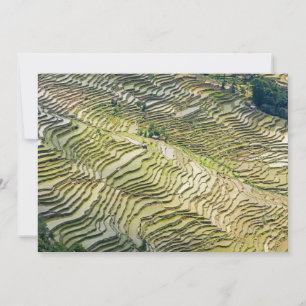 Famous yuanyang Rice Terraces - Yunnan, China Kaart