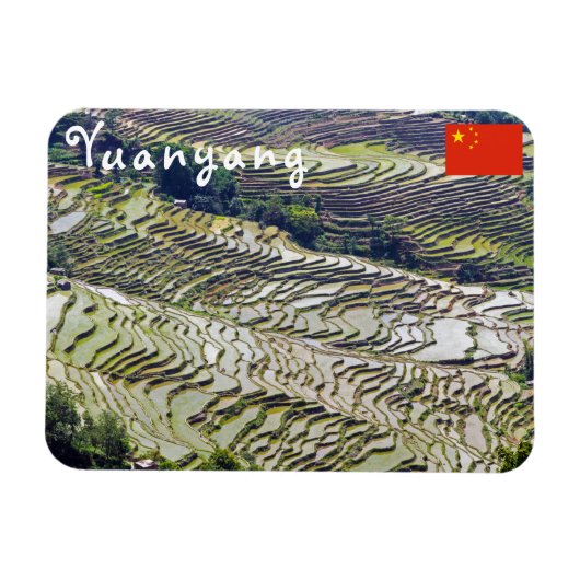 Famous yuanyang Rice Terraces - Yunnan, China Magneet (Horizontaal)