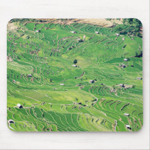 Famous yuanyang Rice Terraces - Yunnan, China Muismat