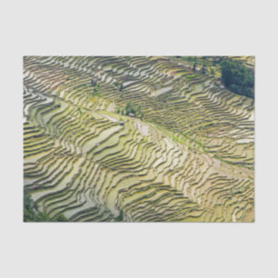 Famous yuanyang Rice Terraces - Yunnan, China Tissuepapier