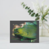 Famouse Green Moray Eel Briefkaart (Staand voorkant)