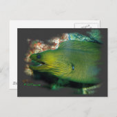Famouse Green Moray Eel Briefkaart (Voorkant / Achterkant)