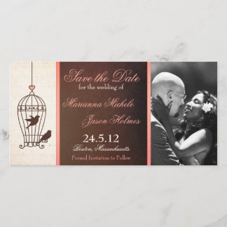 Fanciel Birdcage Chocolate & Roze sparen de Datum Save The Date