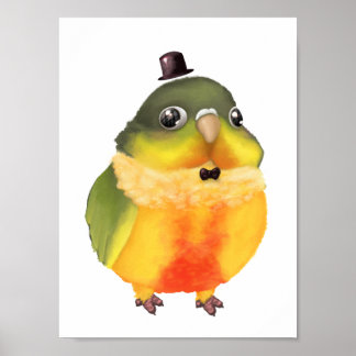 Fancile conure afdrukken poster