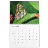 Fancy agenda voor vlinder kalender (Mar 2026)