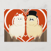 Fancy alpaca-combinatie met briefkaart (Voorkant)