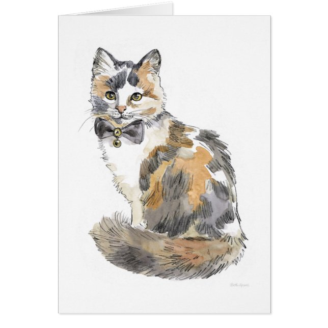 Fancy Calico Cat (Voorkant)