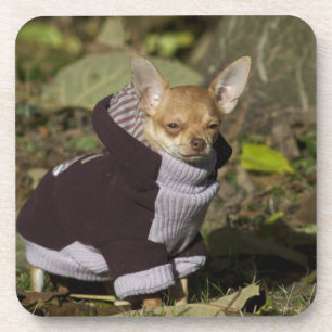 Fancy Chihuahua Drankjes Onderzetter