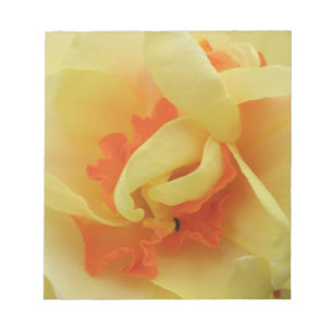 Fancy Daffodil Blocnote