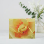 Fancy Daffodil Briefkaart (Staand voorkant)
