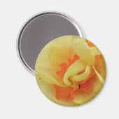 Fancy Daffodil Magnet Magneet (Voorkant / Achterkant)