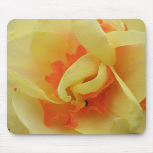 Fancy Daffodil Mousepad Muismat (Voorkant)