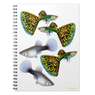 Fancy Fantail Guppies Notitieboek
