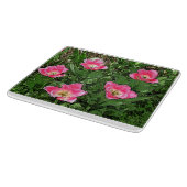 "FANCY FRILLS ROZE EN WITTE GERINGDE TULPEN/GLAS SNIJPLANK (Hoek)