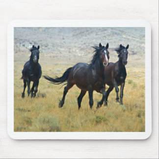 Fancy gratis muismat