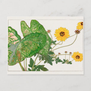 Fancy kaladium, Coreopsis door Tanigami Konan Briefkaart