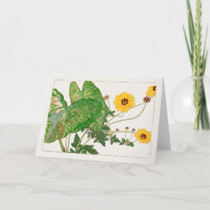 Fancy kaladium, Coreopsis door Tanigami Konan Kaart