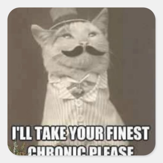 fancy kat sticker (Voorkant)