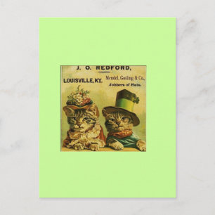 Fancy katten briefkaart