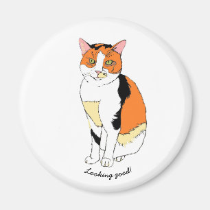 Fancy kattenmagneet magneet