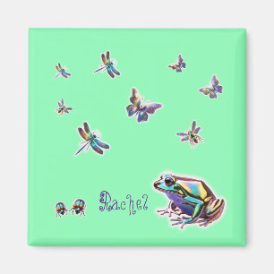 Fancy kikker magneet