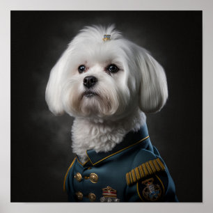 Fancy militair portret van Maltese puppy Dog Poster