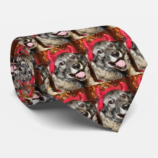 Fancy - Noors Elkhound - Salsman Stropdas (Opgerold)