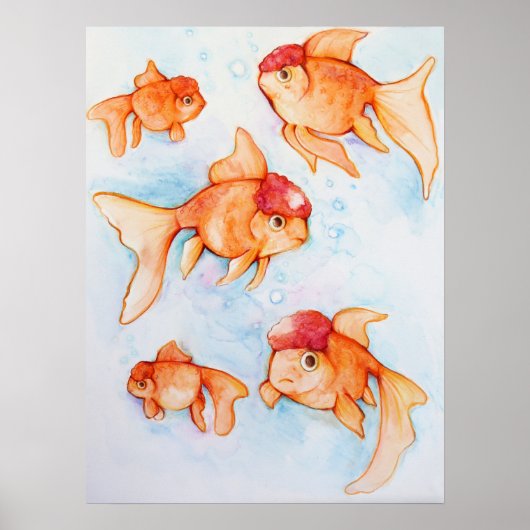 Fancy Oranda Goldfish Poster (Voorkant)