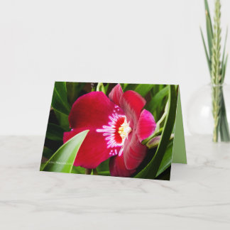 Fancy orchidee rood bedankkaart