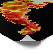 Fancy orchideeënbloem poster (Hoek)