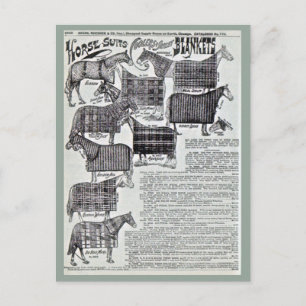 Fancy paardendoekjes briefkaart