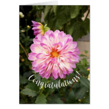 Fancy Paarse en Witte Dahlia Gefeliciteerd Kaart
