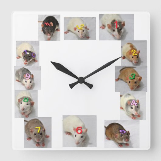 Fancy Rat Clock Vierkante Klok (Voorkant)