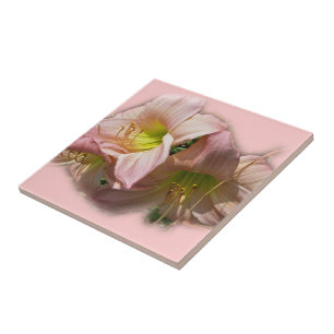 Fancy Roze Daylileuven Tegeltje