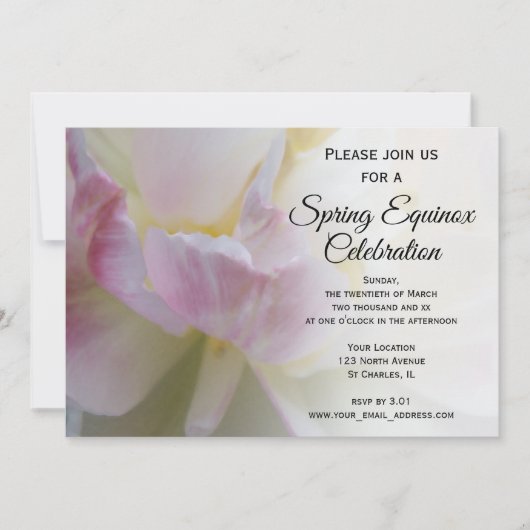 Fancy Roze Witte Tulp Lente-Equinox-viering Kaart (Voorkant)