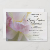 Fancy roze witte Tulp Spring Equinox-feestdag Kaart (Voorkant)