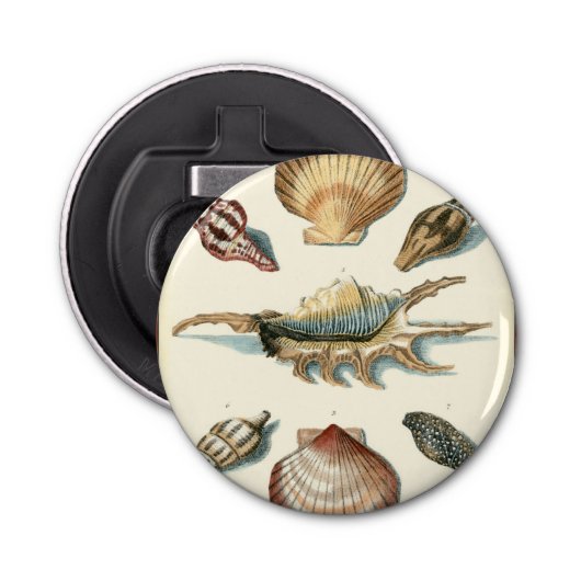Fancy Shell Beach Button Flesopener (Voorkant)