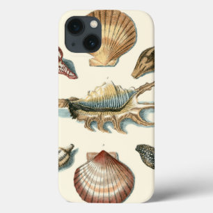 Fancy Shell Beach iPhone 13 Hoesje