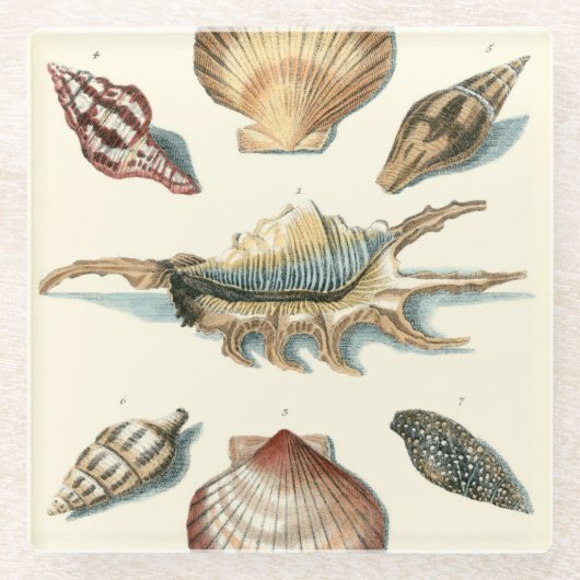 Fancy Shell Beach Glazen Onderzetter (Voorkant)