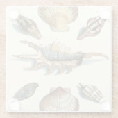 Fancy Shell Beach Glazen Onderzetter (Achterkant)