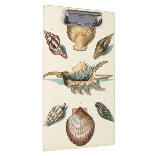 Fancy Shell Beach Klembord (Rechts)