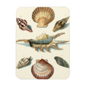Fancy Shell Beach Magneet (Verticaal)