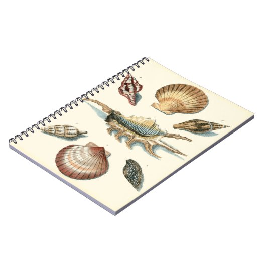 Fancy Shell Beach Notitieboek (Linkerzijde)