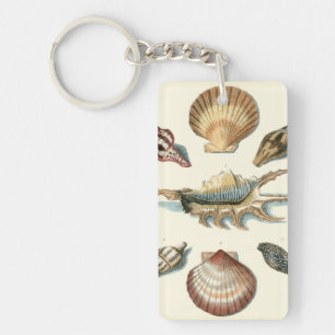 Fancy Shell Beach Sleutelhanger