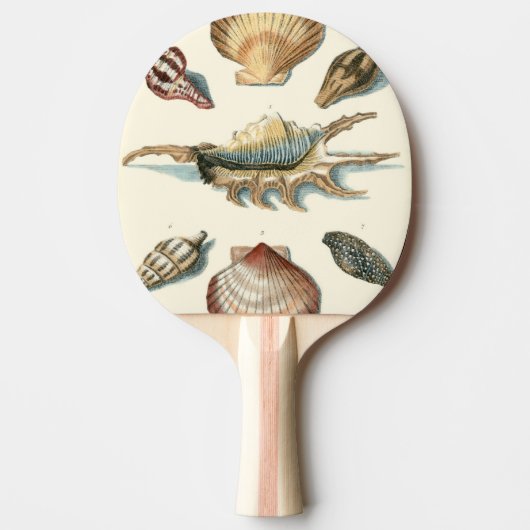 Fancy Shell Beach Tafeltennisbatje (Voorkant)
